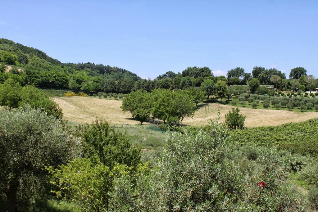 Villa Melagrana Fano Pokoj fotografie