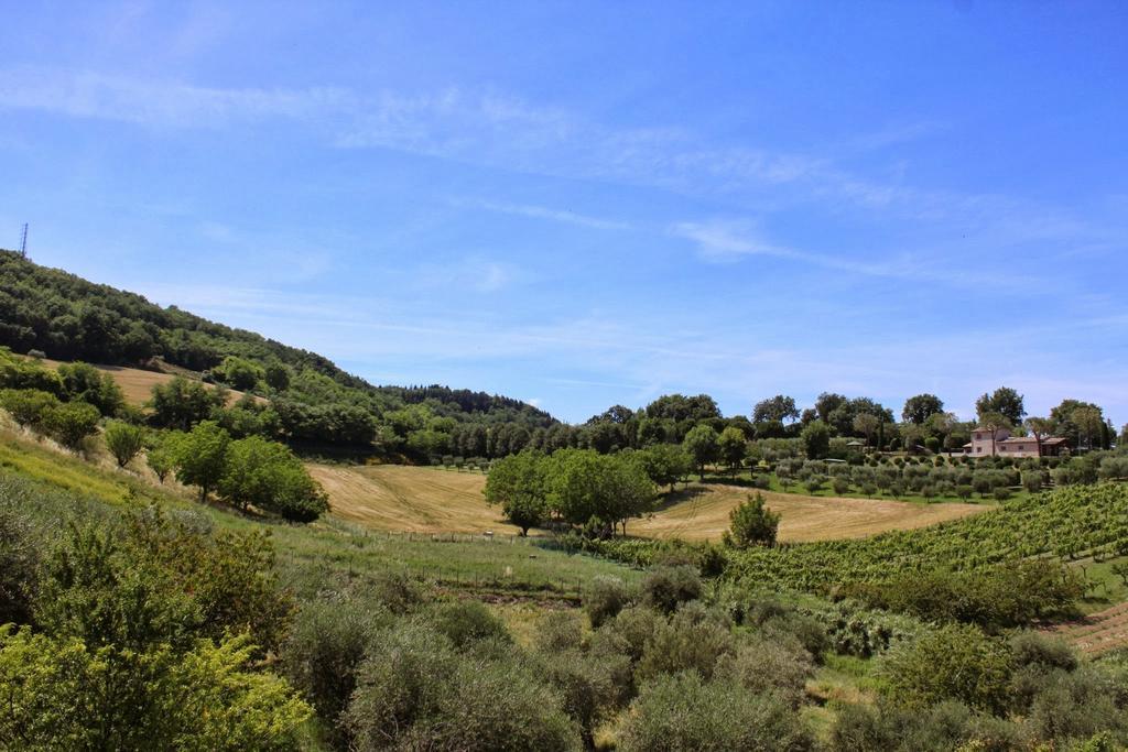 Villa Melagrana Fano Pokoj fotografie